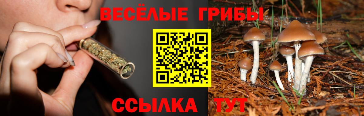 Галлюциногенные грибы Magic Shrooms  Вход с VPN  Галлюциногенные грибы Psilocybine cubensis  Ангарск 